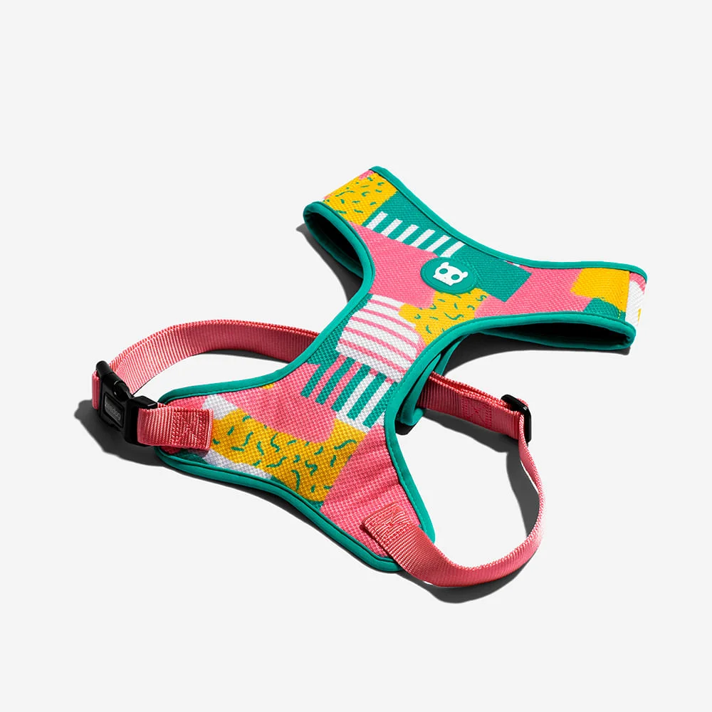Peitoral para Cachorros Air Mesh Salina