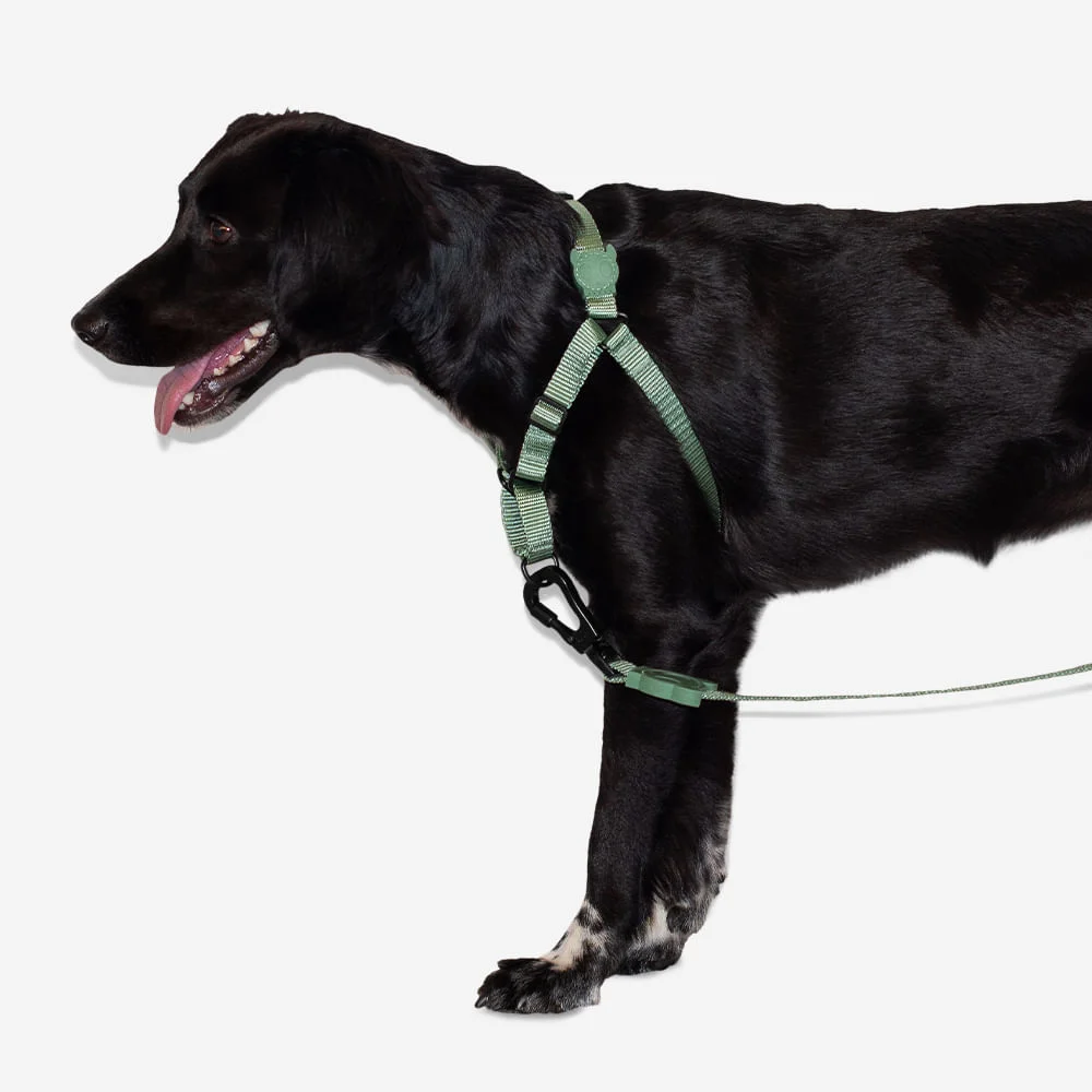 Peitoral para Cachorros Antipuxão Army Green