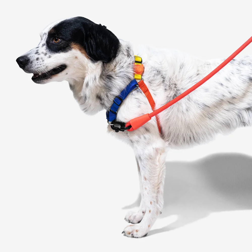 Peitoral para Cachorros Antipuxão Puzzle