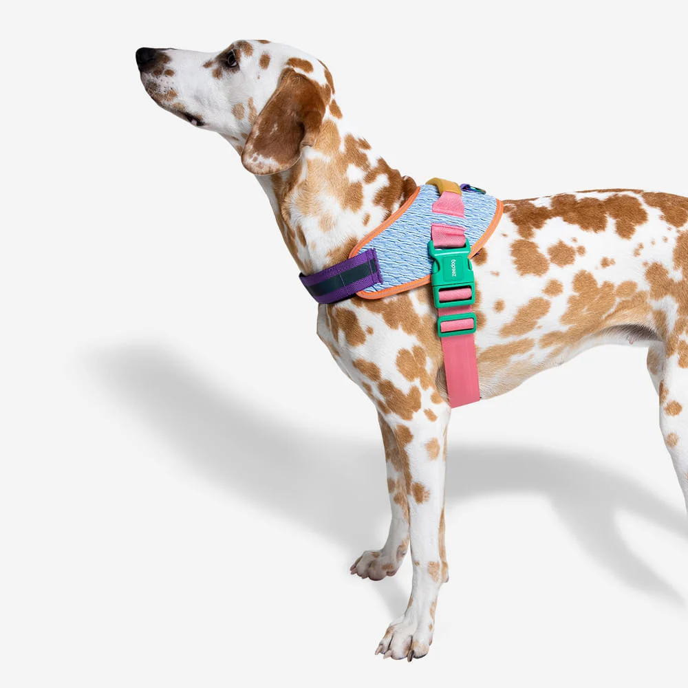 Peitoral para Cachorros FlyHarness Galaxy