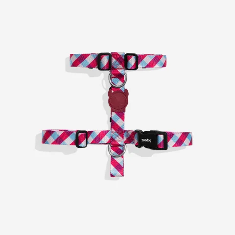 Peitoral para Cachorros H Gummy