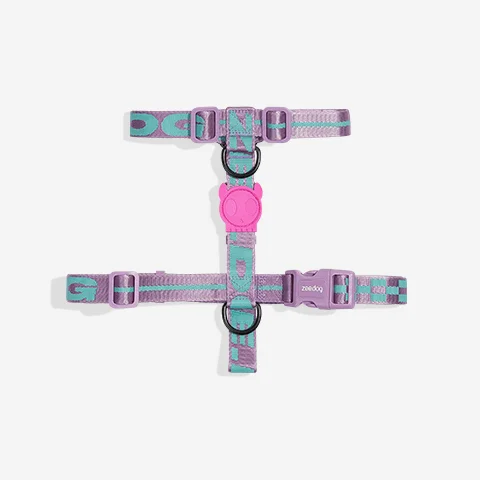 Peitoral para Cachorros H Jacquard Aura