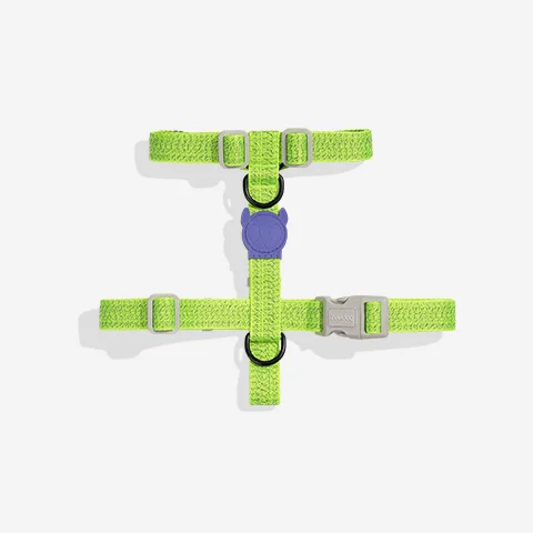Peitoral para Cachorros H NOX Lumen