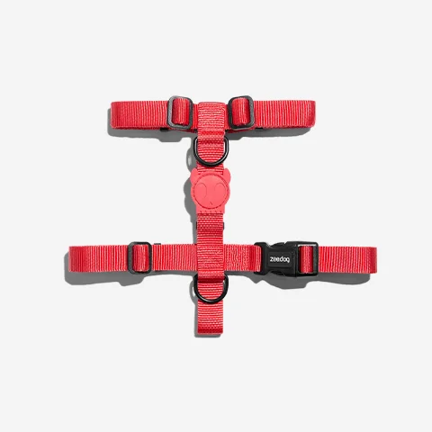 Peitoral para Cachorros H Neon Coral