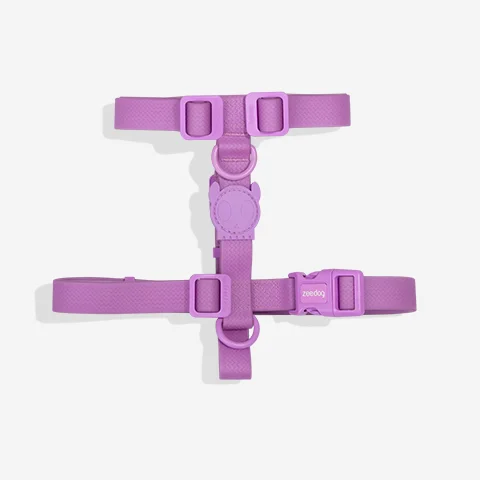 Peitoral para Cachorros H Neopro Ultra Violet