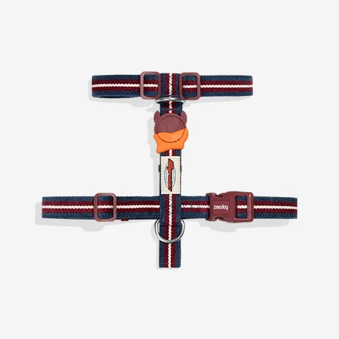 Peitoral para Cachorros H Velvet Vibes Dropout