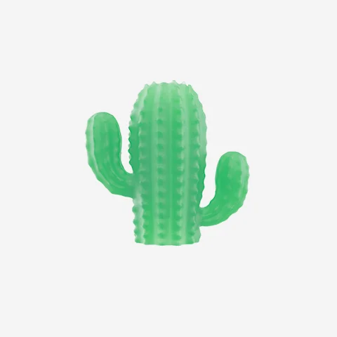 Zee.Pinz Cacto